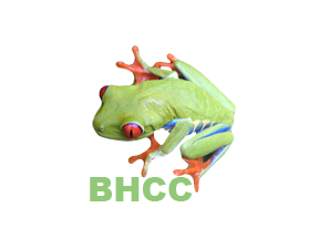 Tropical Field Studies in Costa Rica